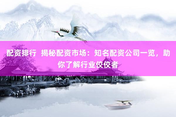 配资排行  揭秘配资市场：知名配资公司一览，助你了解行业佼佼者
