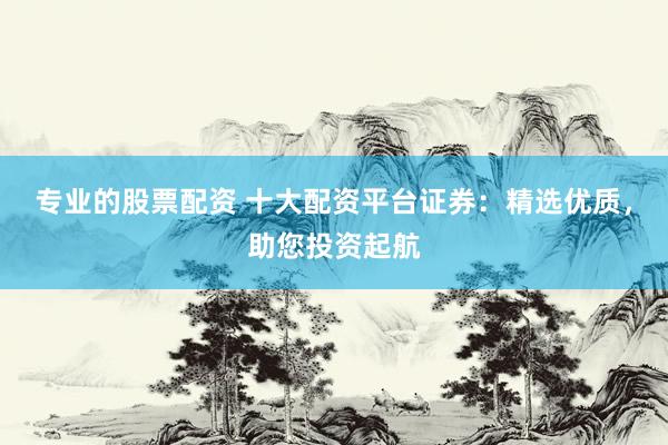 专业的股票配资 十大配资平台证券：精选优质，助您投资起航