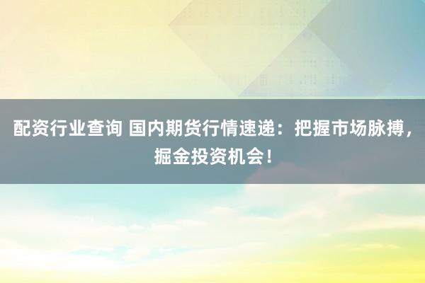 配资行业查询 国内期货行情速递：把握市场脉搏，掘金投资机会！
