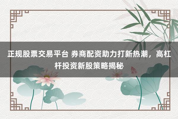 正规股票交易平台 券商配资助力打新热潮，高杠杆投资新股策略揭秘