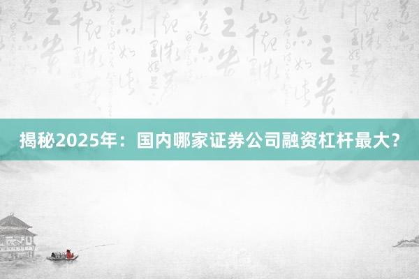 揭秘2025年：国内哪家证券公司融资杠杆最大？