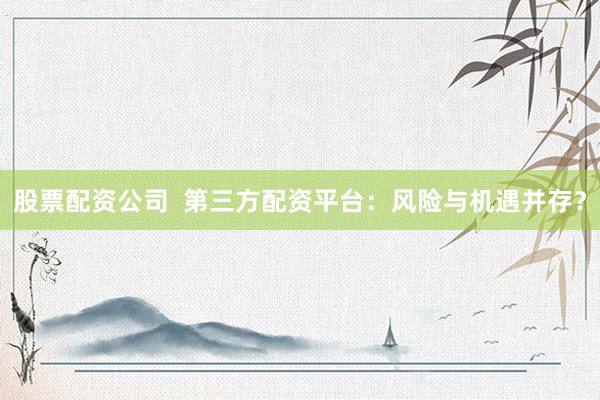 股票配资公司 第三方配资平台:风险与机遇并存?