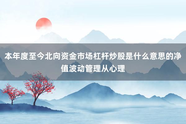 本年度至今北向资金市场杠杆炒股是什么意思的净值波动管理从心理