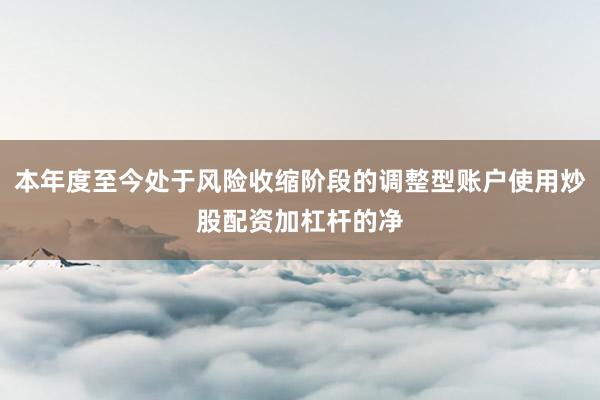 本年度至今处于风险收缩阶段的调整型账户使用炒股配资加杠杆的净