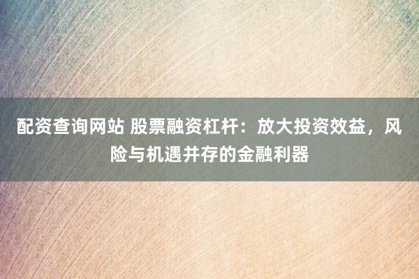 配资查询网站 股票融资杠杆：放大投资效益，风险与机遇并存的金融利器