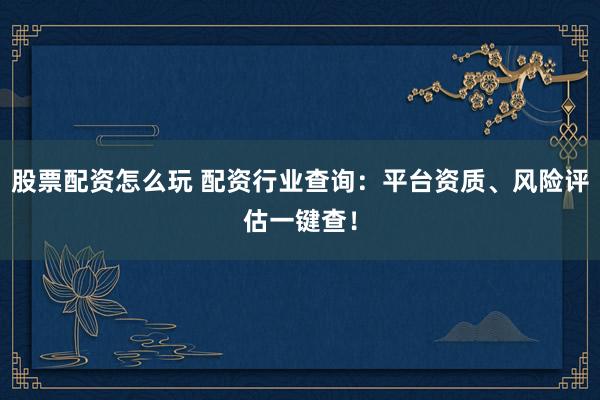 股票配资怎么玩 配资行业查询：平台资质、风险评估一键查！