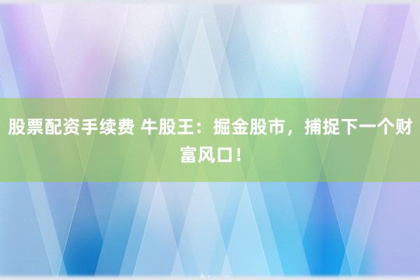 股票配资手续费 牛股王：掘金股市，捕捉下一个财富风口！