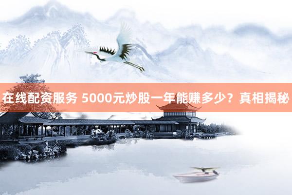 在线配资服务 5000元炒股一年能赚多少？真相揭秘